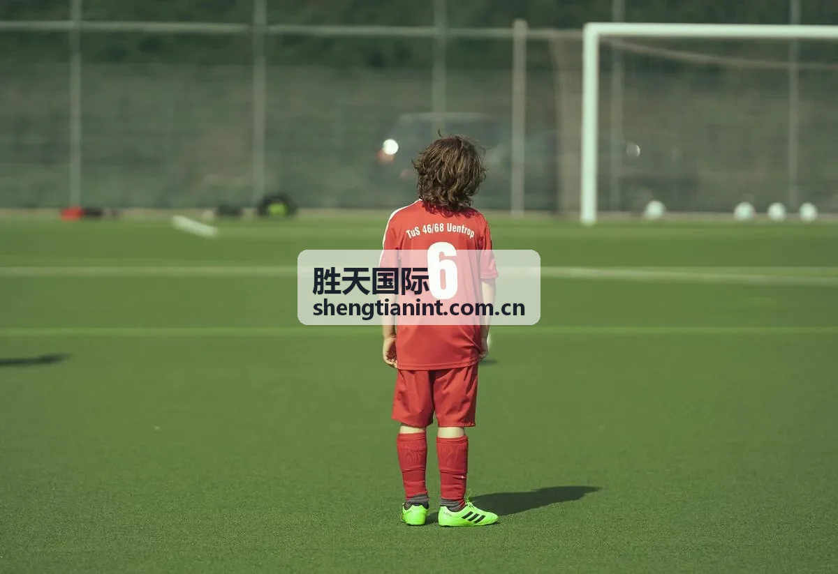 胜天国际欧洲市场准入专题