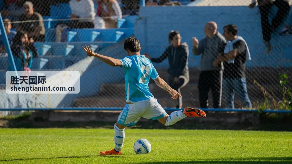 胜天国际东南亚供应链专题